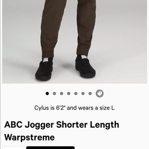 Lululemon ABC Jogger (Shorter)